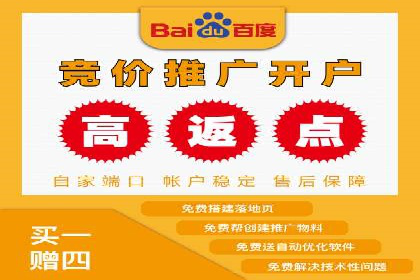 SEM主管实战技巧：案例分享与解读